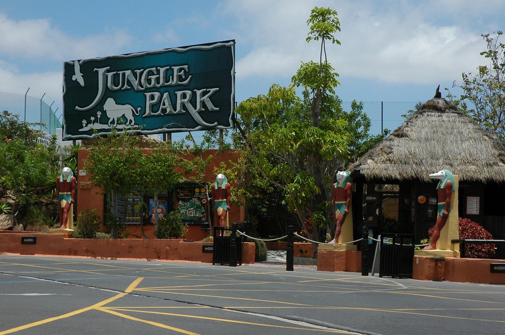 Джунгли-парк в Тенерифе